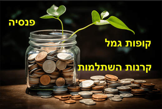 איור: פאנדר